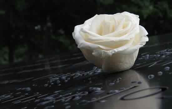 Fiore per decorazione cimitero